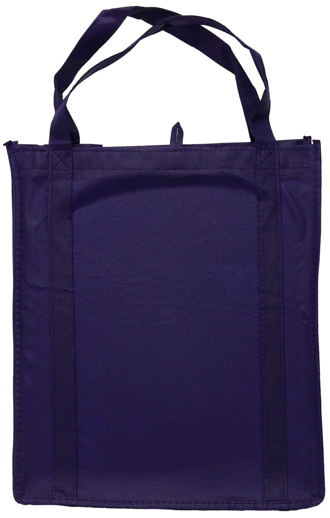 Non-Woven Shopper Tote with Plastic Stability Insert